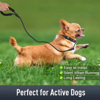 HKM-5567805 Reflective Nylon Dog Collar with Monochrome Options for All Seasons