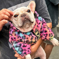 HKM-5568189 Colorful Leopard Print Velvet Coat for Pets in Various Sizes S-XXL