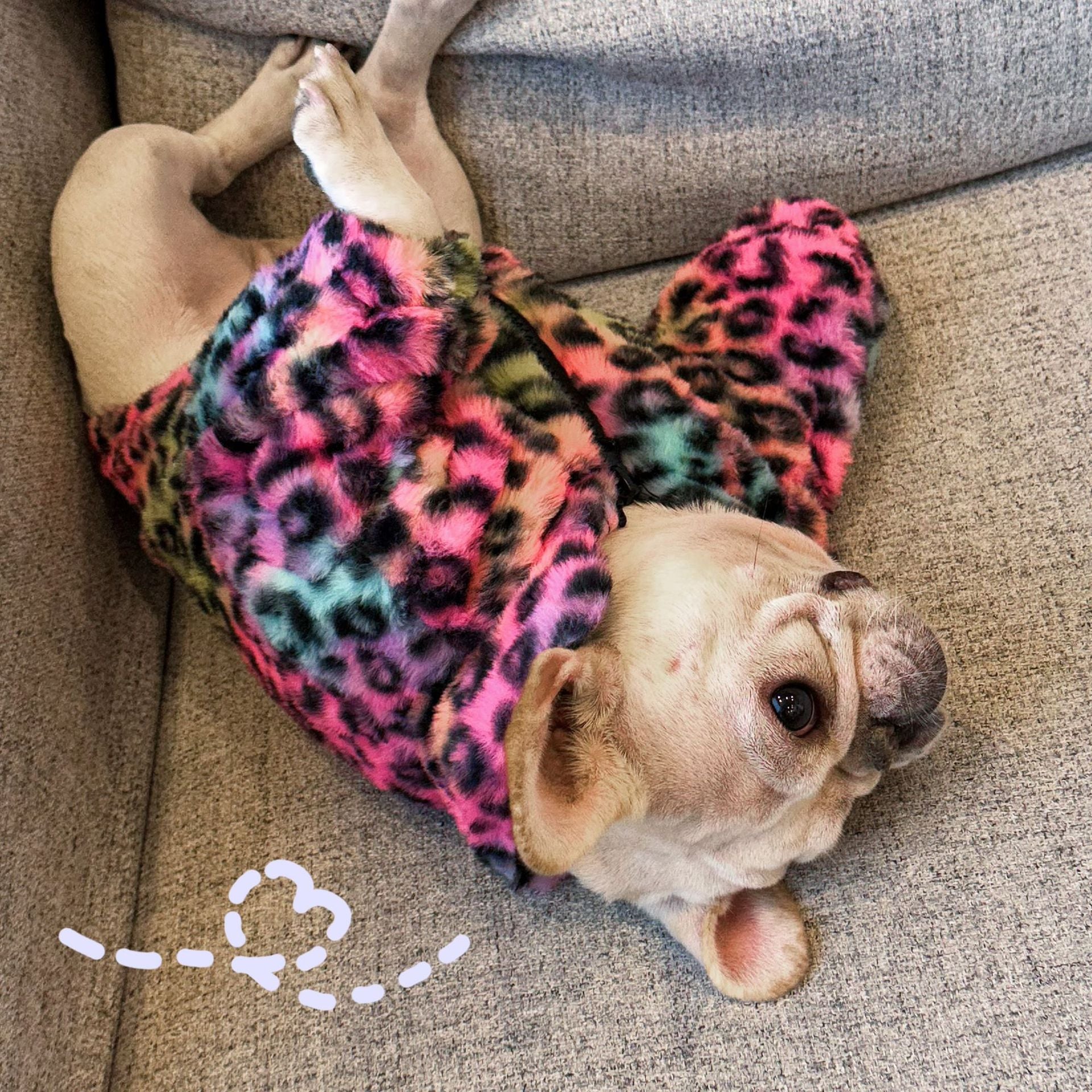 HKM-5568189 Colorful Leopard Print Velvet Coat for Pets in Various Sizes S-XXL