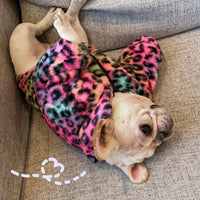 HKM-5568189 Colorful Leopard Print Velvet Coat for Pets in Various Sizes S-XXL