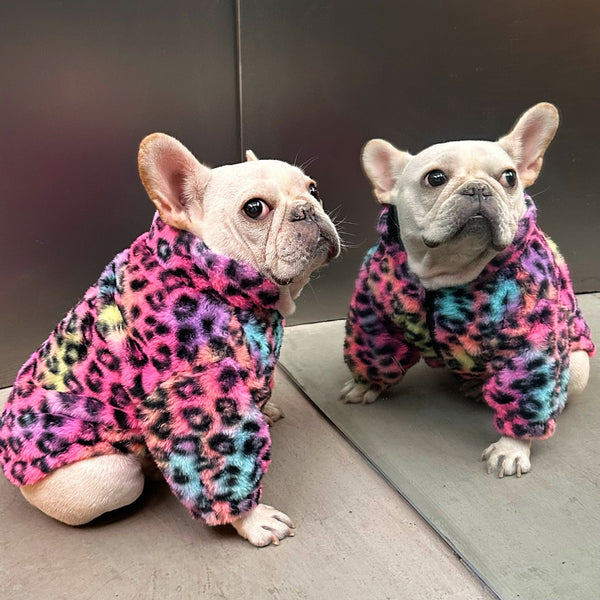 HKM-5568189 Colorful Leopard Print Velvet Coat for Pets in Various Sizes S-XXL