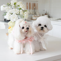 HKM-5573181 Cat Tie Bow Collar Dress - Polyester Skirt in White and Pink, Sizes XXS to 3XL