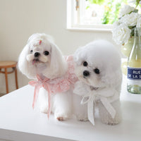 HKM-5573181 Cat Tie Bow Collar Dress - Polyester Skirt in White and Pink, Sizes XXS to 3XL