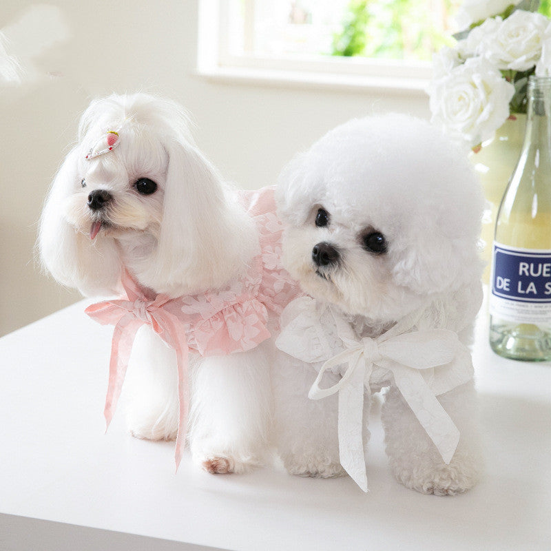 HKM-5573181 Cat Tie Bow Collar Dress - Polyester Skirt in White and Pink, Sizes XXS to 3XL