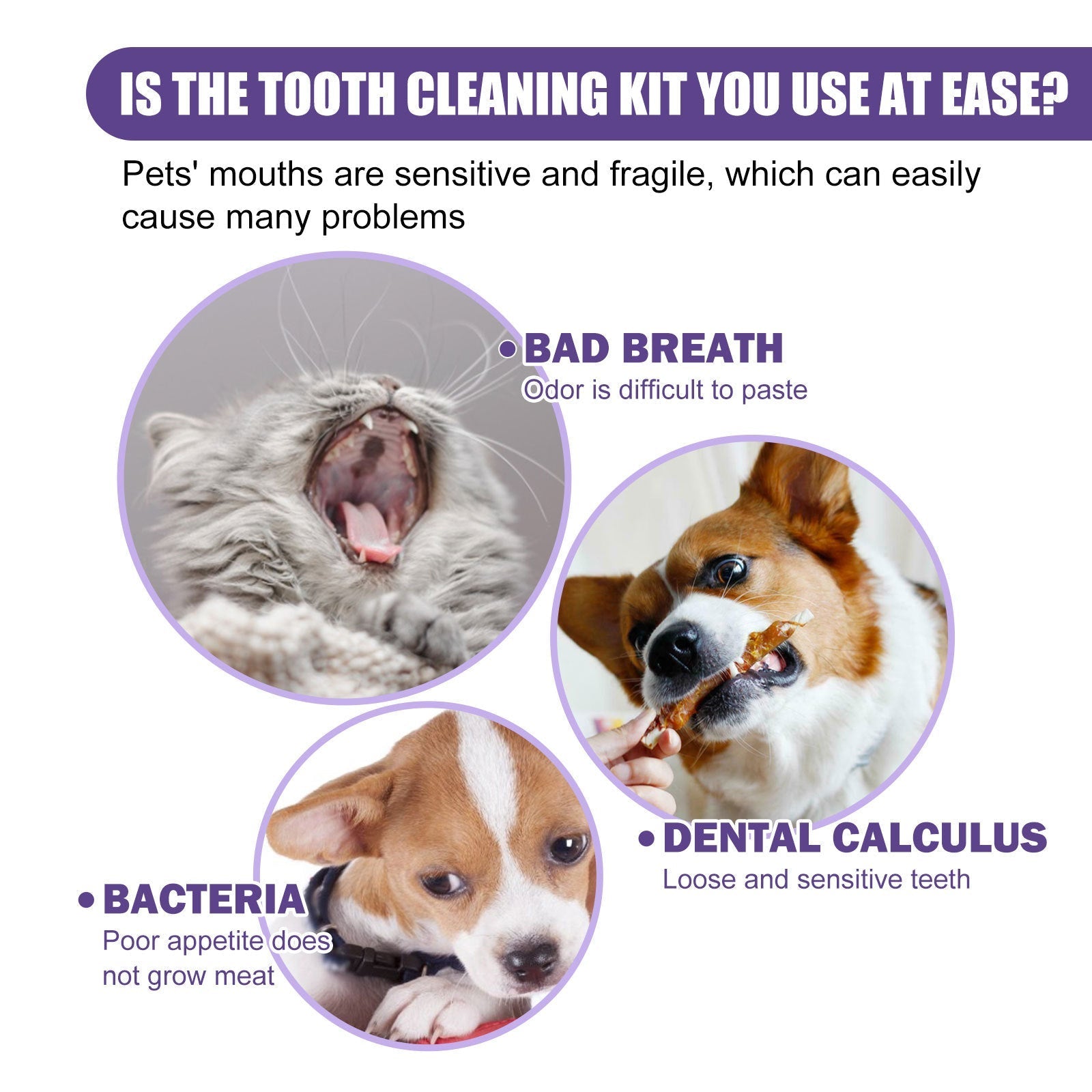 HKM-5573437 Gentle Pet Cleaning Gloves and Wet Wipes for Teeth Care, Tartar Removal, and Odor Control - 50 Pack