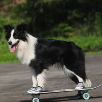 HKM-5578173 Breathable and Wear-Resistant Big Dog Shoes with Rubber Outsole