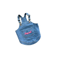 HKM-5581885 Stylish Removable Denim Pet Suspender Skirt with Matching Hat for Dogs
