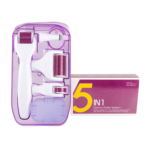 HKM-558419 6-in-1 Derma Roller Microneedling Set for Facial Skin Care with Multiple Needle Sizes and Accessories