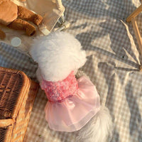 HKM-5587645 Rose Lace Pet Dress for Spring and Summer - XS, S, M, L, XL