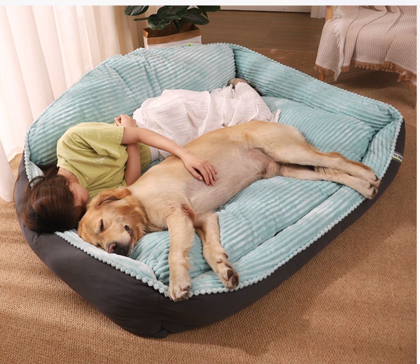 HKM-5596861 Cozy Velvet and Imitation Leather Removable Washable Medium Dog Kennel - Multiple Sizes Available