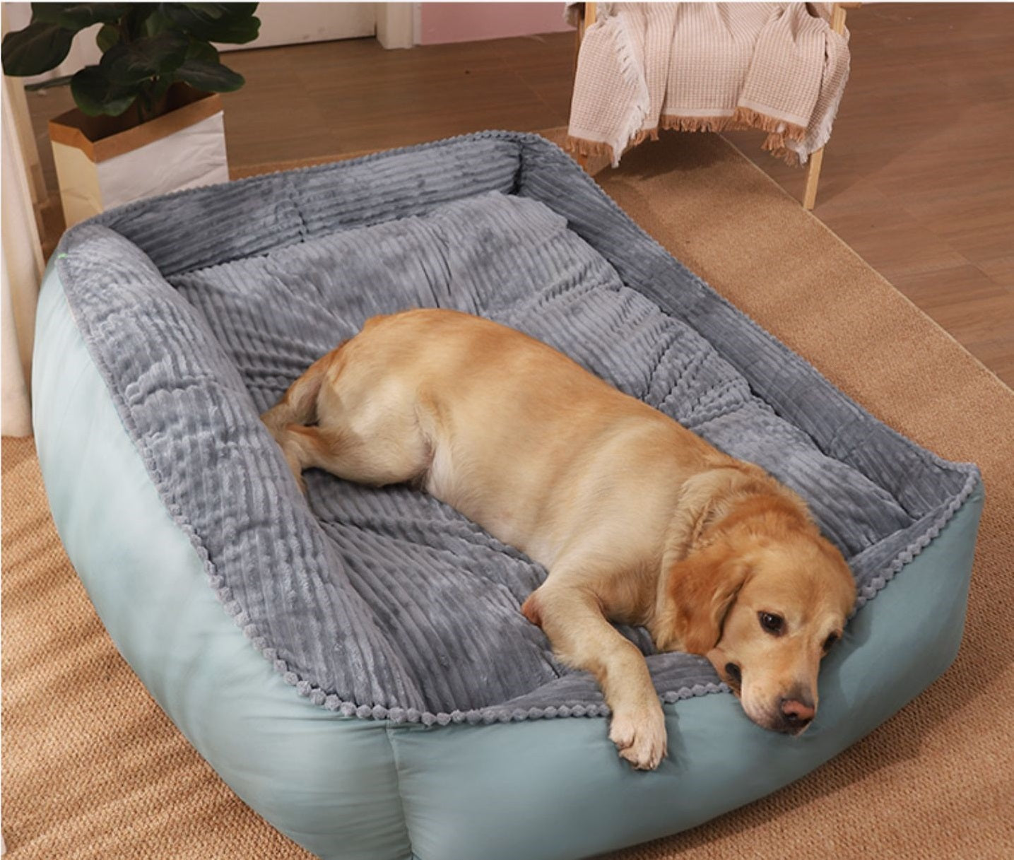 HKM-5596861 Cozy Velvet and Imitation Leather Removable Washable Medium Dog Kennel - Multiple Sizes Available