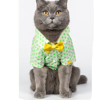 HKM-5599165 Green Polka Dot Cotton Shirt for Small to Medium Cats with Button Closure