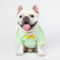 HKM-5599165 Green Polka Dot Cotton Shirt for Small to Medium Cats with Button Closure