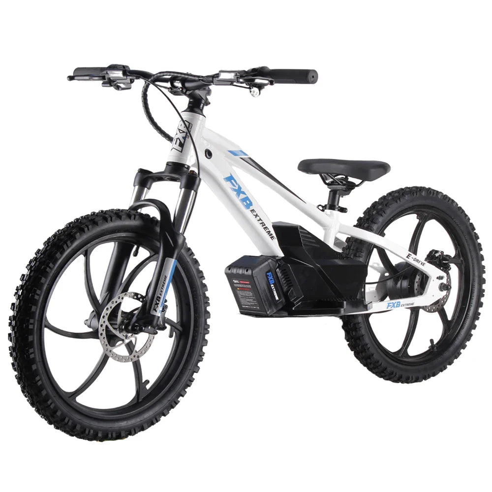 HKM-560723 20-Inch Electric Balance Bike with 36V Motor and 3 Speed Options