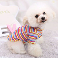 HKM-5608893 Rainbow Stripe Casual Cotton Bottoming Shirt for Everyday Wear