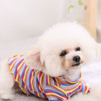 HKM-5608893 Rainbow Stripe Casual Cotton Bottoming Shirt for Everyday Wear