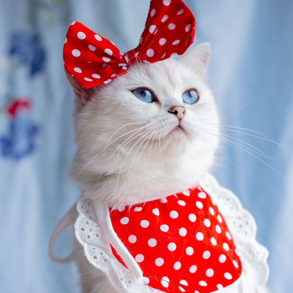 HKM-5611709 Colorful Cat Lace Suit Scarf Bib Decoration for Pets - Various Floral Patterns in Cotton