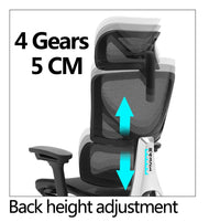 HKM-561555 Ergonomic Office Chair with Adjustable Headrest and Back Height Functionality
