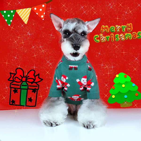 HKM-5617853 Schnauzer Teddy Winter Christmas Sweater in Green with Santa Claus Pattern