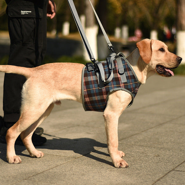 HKM-5619133 High Aged Dog Accessory Chest Strap in Blue and Red Lattice Patterns with Optional Shoulder Strap