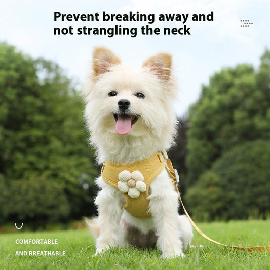 HKM-5624893 Durable Vest-Style Dog Rope Leash with Comfortable Chest Strap ¨C Multiple Colors Available