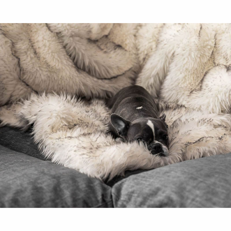 HKM-5629629 Waterproof Plush Dog Kennel with Soft Cushion for Comfort and Warmth