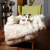 HKM-5629629 Waterproof Plush Dog Kennel with Soft Cushion for Comfort and Warmth