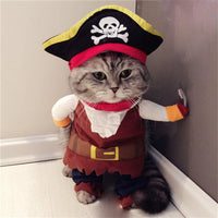 HKM-5629757 Teddy Pirate Pet Costume for Cats and Dogs, Cartoon Style, Various Sizes Available