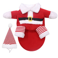 HKM-5629757 Teddy Pirate Pet Costume for Cats and Dogs, Cartoon Style, Various Sizes Available