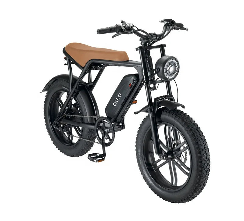 HKM-563539 20 Inch 750W Electric Fat Tire Bike with 7-Speed Gear System and Double Disc Brake