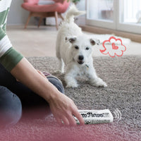 HKM-5636157 Squeaky Newspaper Chew Toy for Dogs - Fun Fetch & Play Training Accessory