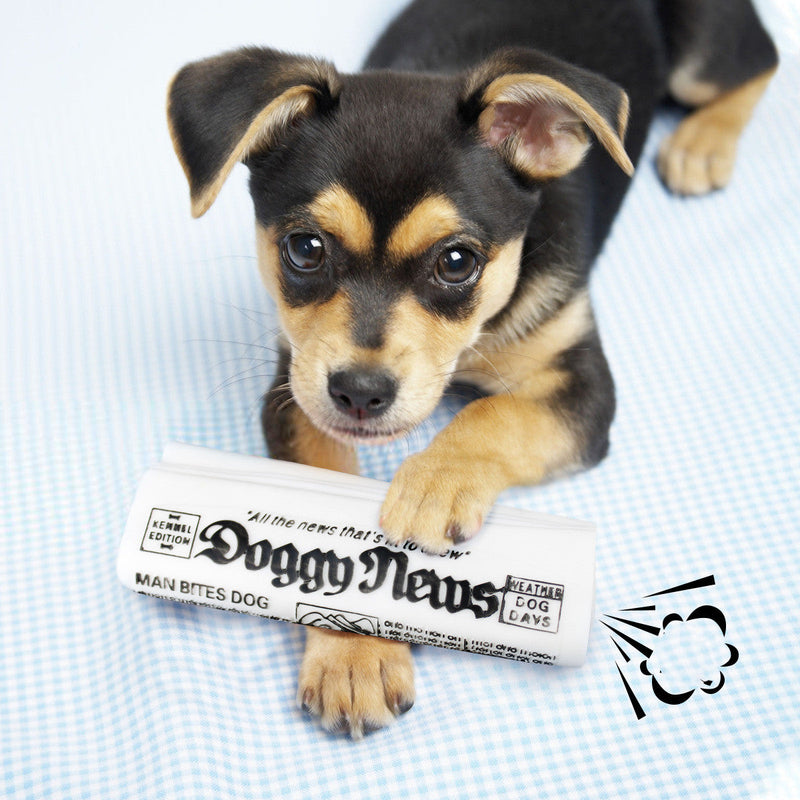 HKM-5636157 Squeaky Newspaper Chew Toy for Dogs - Fun Fetch & Play Training Accessory