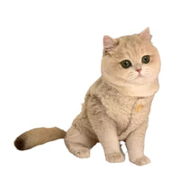 HKM-5636925 Cozy Polar Fleece Cat Vest in Apricot and Brown for Winter Warmth