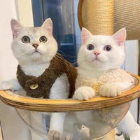 HKM-5636925 Cozy Polar Fleece Cat Vest in Apricot and Brown for Winter Warmth
