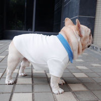 HKM-5637693 Plus Size Colorblock Dog Polo Shirt for Autumn and Winter, Casual Style in Blue and White