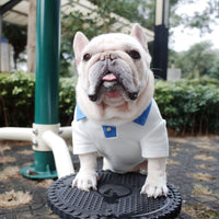 HKM-5637693 Plus Size Colorblock Dog Polo Shirt for Autumn and Winter, Casual Style in Blue and White
