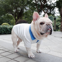 HKM-5637693 Plus Size Colorblock Dog Polo Shirt for Autumn and Winter, Casual Style in Blue and White