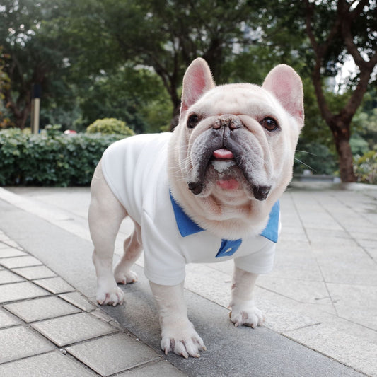 HKM-5637693 Plus Size Colorblock Dog Polo Shirt for Autumn and Winter, Casual Style in Blue and White