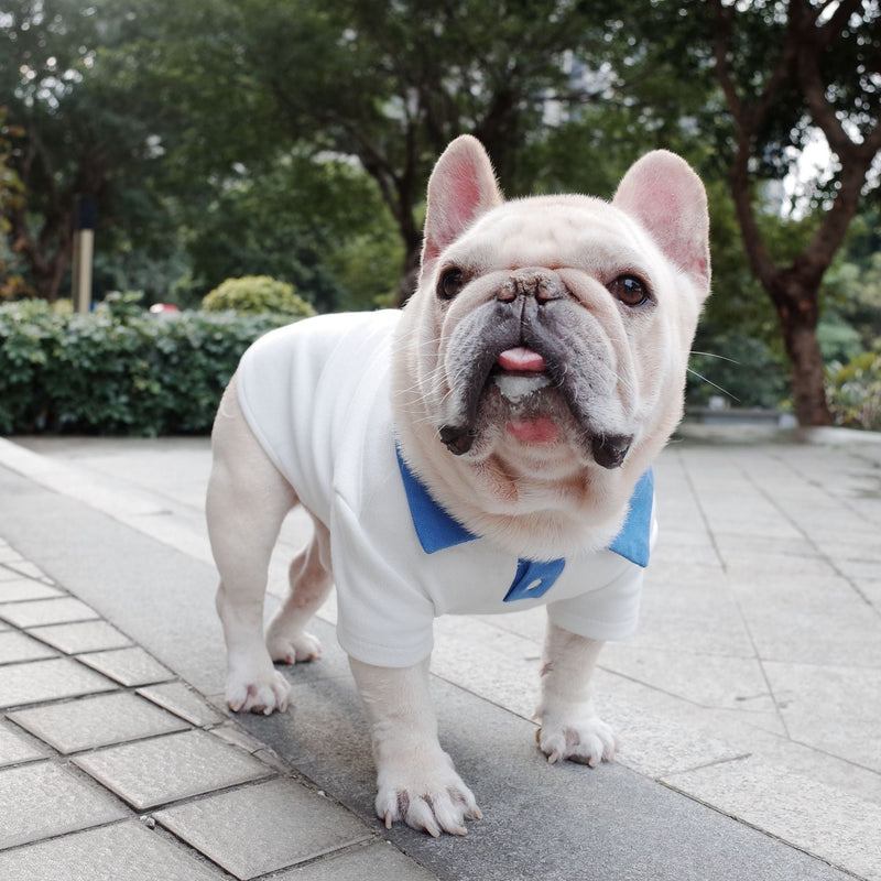 HKM-5637693 Plus Size Colorblock Dog Polo Shirt for Autumn and Winter, Casual Style in Blue and White