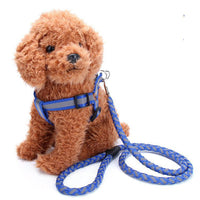 HKM-5640893 Reflective Nylon Braided Pet Leash and Harness Set - Various Colors and Sizes Available