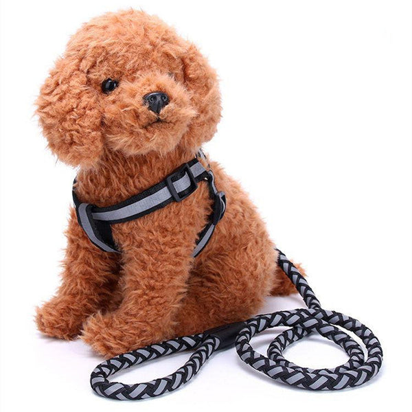 HKM-5640893 Reflective Nylon Braided Pet Leash and Harness Set - Various Colors and Sizes Available