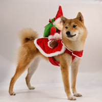 HKM-5641277 Santa Claus Pet Riding Outfit - Polyester Dog Clothing in Sizes S, M, L, XL