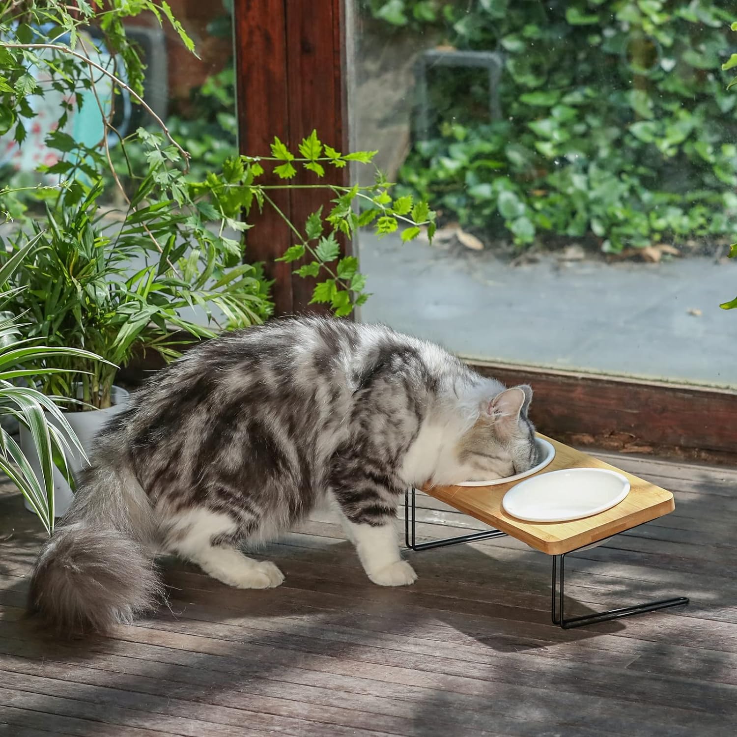 HKM-5644349 Tilted Ceramic Feeding Bowl Set with Bamboo Stand for Small Dogs and Cats