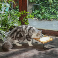 HKM-5644349 Tilted Ceramic Feeding Bowl Set with Bamboo Stand for Small Dogs and Cats