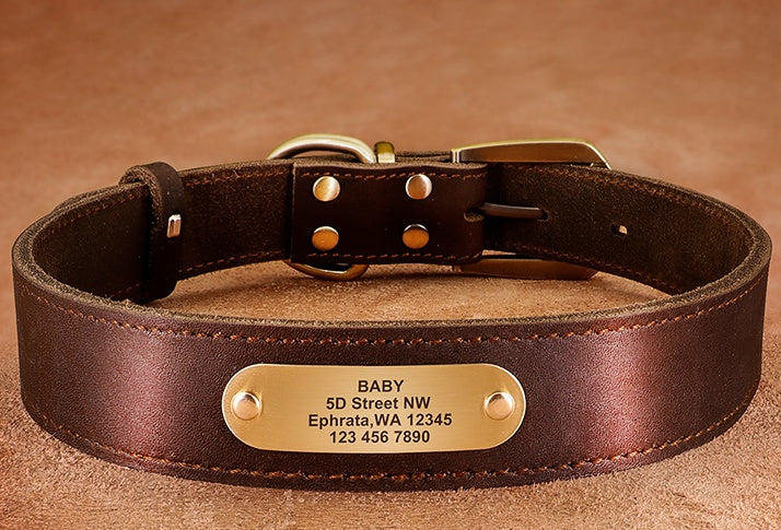 HKM-5648701 Personalized Cowhide Dog Collar with Nameplate ID Tag for Medium to Large Dogs