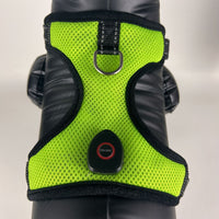 HKM-5651901 LED Luminous Pet Harness with USB Rechargeable Chest Strap - Available in Blue, Green, and Pink