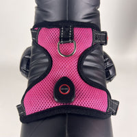 HKM-5651901 LED Luminous Pet Harness with USB Rechargeable Chest Strap - Available in Blue, Green, and Pink