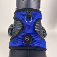 HKM-5651901 LED Luminous Pet Harness with USB Rechargeable Chest Strap - Available in Blue, Green, and Pink