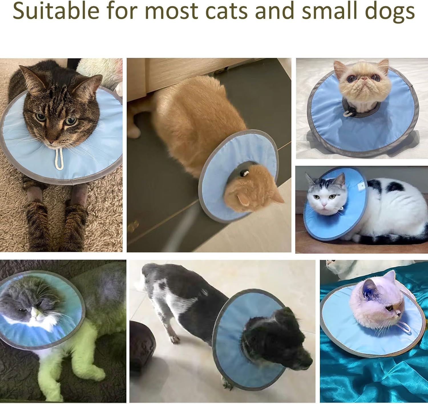 HKM-5654589 Waterproof Adjustable Cat Recovery Collar - Lightweight Protective Cone for Wound Healing