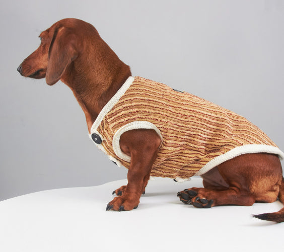 HKM-5657149 Striped Hoodie for Miniature Pinschers and Bichons - Various Sizes Available